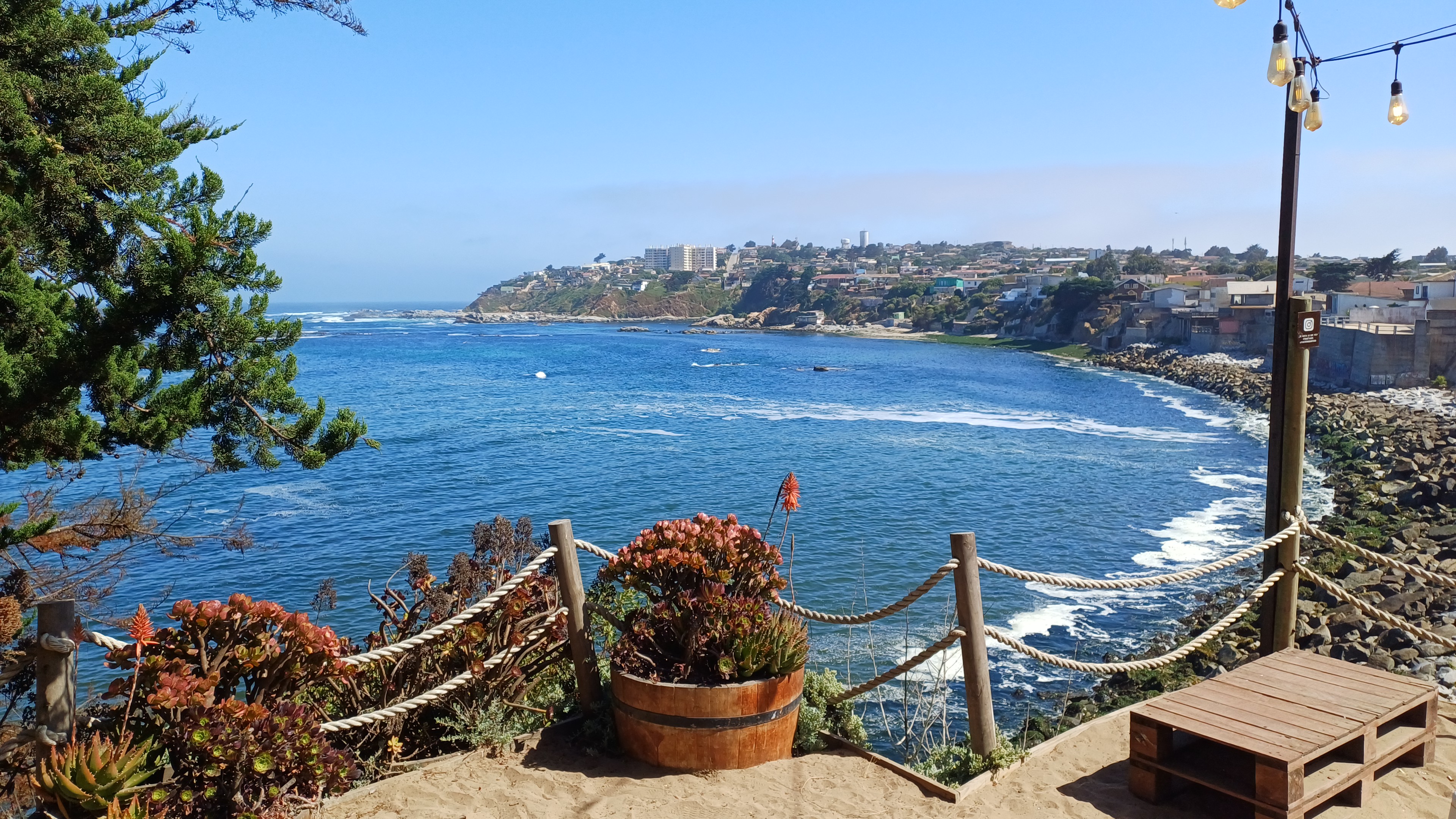 Paradoxes Misanthropes